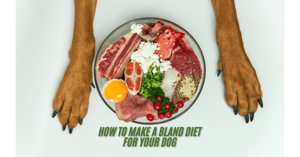 Dog Nutrition
