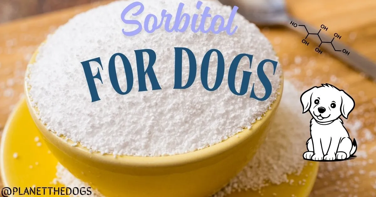 Is Sorbitol Safe for dogs