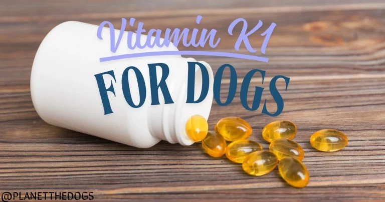 Vitamin K1 for Dogs
